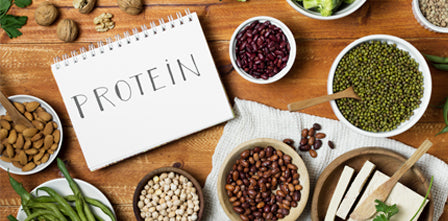 Aminosyror och protein - Vad är skillnaden?