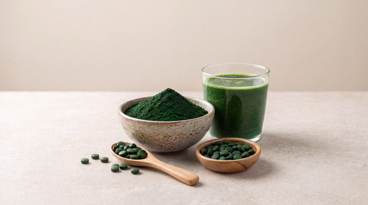 Allt om spirulina - en grundläggande guide
